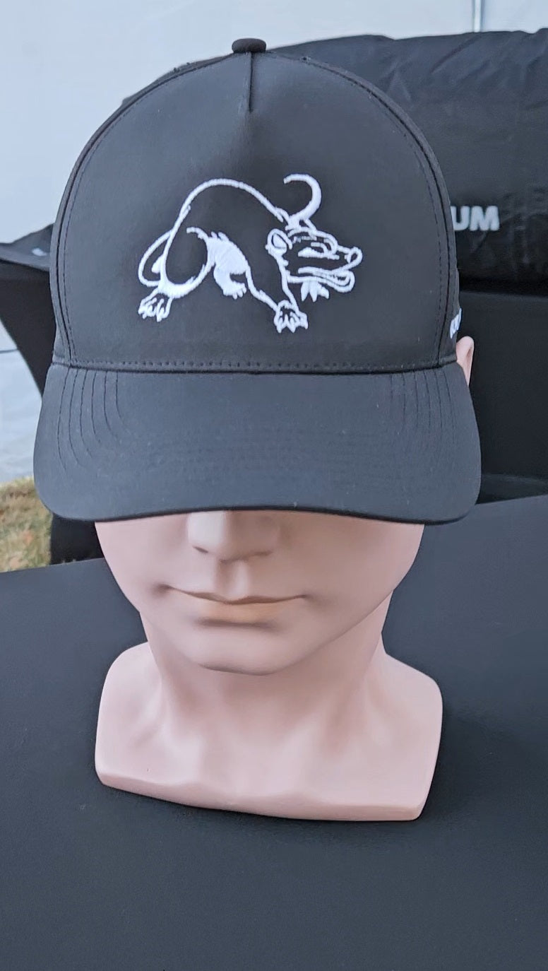 Snapback hat